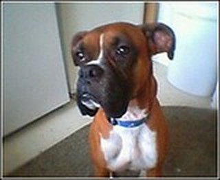 Max 2001-2003 - Alabama